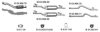 EBERSP?CHER 232613 Exhaust System